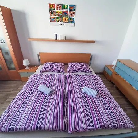 Apartment Private With 2 Separate Bd For Group Or Singles